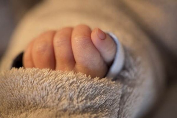 Forrás: pixabay.com