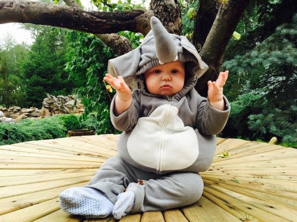 Forrás: pixabay.com