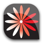 Forrás: plus.google.com