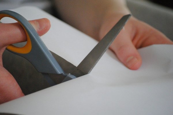 Forrás: pixabay.com 